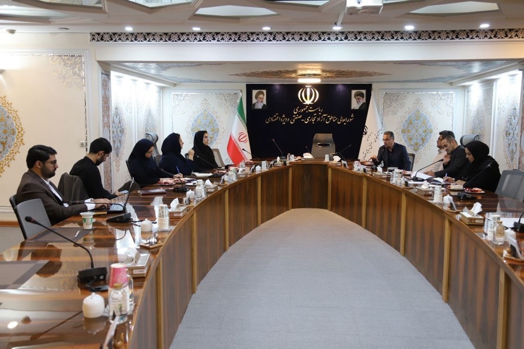 نشست هم‌اندیشی تدوین سند توسعه صادرات مناطق آزاد کشور برگزار شد